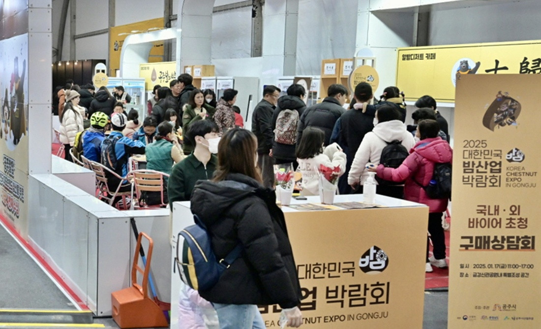전국 밤 제품 한자리...공주서 2월 4~8일 밤 산업 박람회 - 뉴스 썸네일 이미지