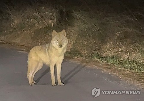 [속보] 대전시 