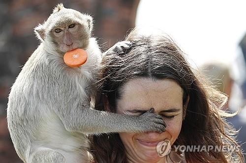 미 해군 병사가 태국서 원숭이에게 습격당해 본국 후송된 황당 사연