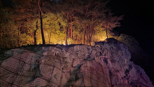 영월 무릉도원면 국유림서 불…3시간 만에 진화