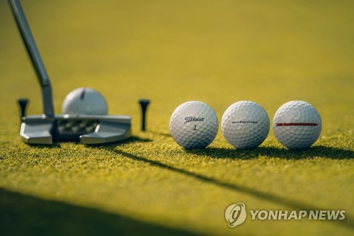 골프장 타구 사고 관련 보도 이미지