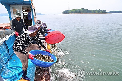 득량만·가막만 등 남해안 고수온 주의보 '비상'...피해 예방 총력 - 뉴스 썸네일 이미지