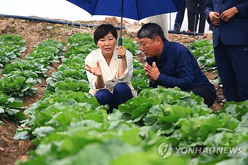 송미령 농식품부 장관, 함평 폭염 현장 점검…"더울 때는 야외 작업 자제"