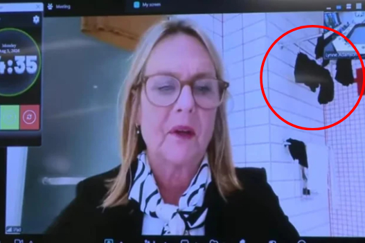 Meeting Video Goes Viral on YouTube with Thousands of Views - News Directory 3