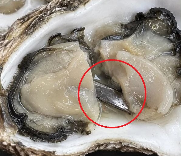 굴 먹다 5㎝ 칼 조각 씹은 손님에게 식당이 내민 어이없는 사과법