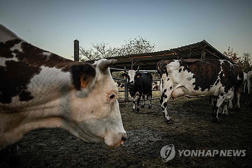 10월 23일 새벽 뉴스 브리핑: 보건·기술·안보의 변화 | 샤몬다 바이러스, 메모리 공급, 덴마크 미사일