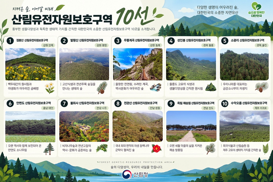 산림청, 국민·전문가가 뽑은 산림유전자원보호구역 10선 선정