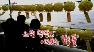 [트렌드 지금 여기] 소원 명당도 이제는 '힙플'