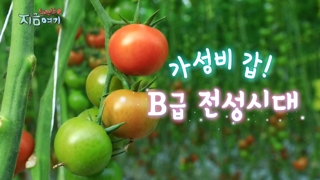 [트렌드 지금 여기] 가성비 갑! B급 전성시대
