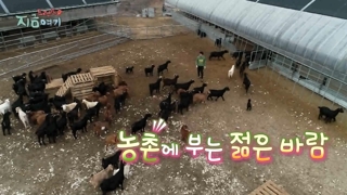[트렌드 지금 여기] 농촌에 부는 젊은 바람