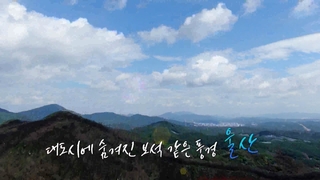 [UHD 다큐 풍경] 대도시에 숨겨진 보석 같은 풍경…울산 1편