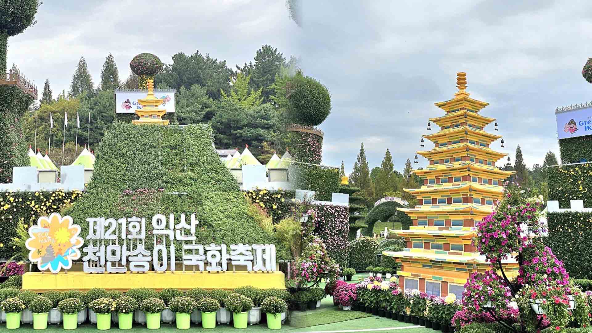 이미지 미리보기