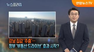 [탐사보도 뉴스프리즘] 강남 집값 '주춤'…정부 '부동산 드라이브' 효과 시작?