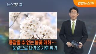 [탐사보도 뉴스프리즘] 종잡을 수 없는 봄꽃 개화…눈앞으로 다가온 기후 위기