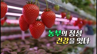 [연합뉴스TV 스페셜] 421회 : 농부의 정성 건강을 잇다