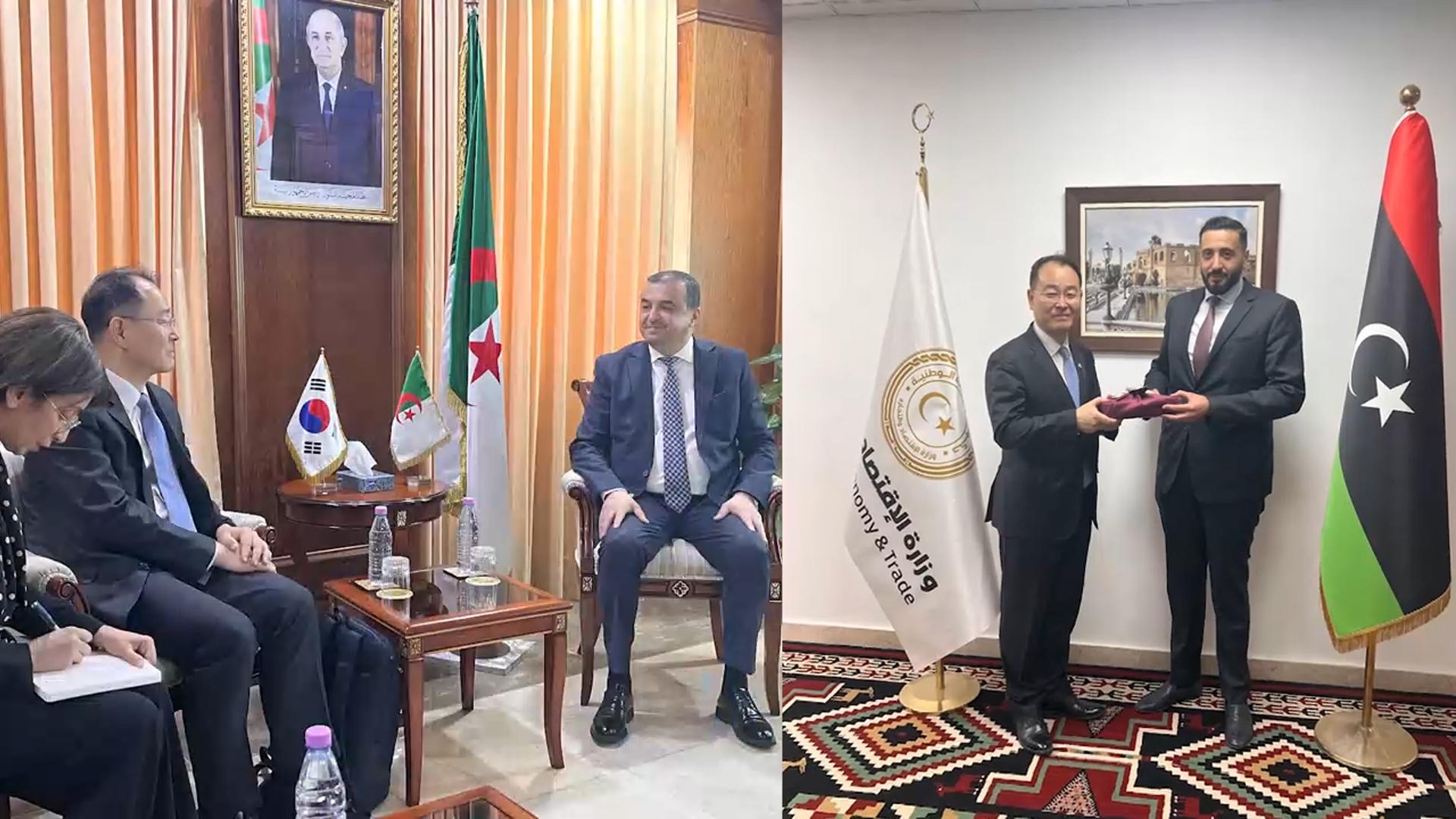 아프리카 산유국 '경제외교'…