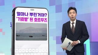 [DM왔어요] 얼마나 뿌린거야? '기뢰밭' 된 호르무즈 外