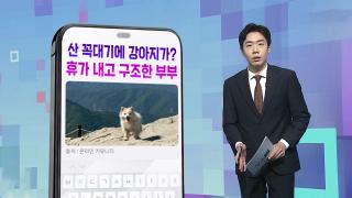[DM왔어요] 산꼭대기에 강아지 홀로?…"눈에 밟혀" 휴가 내고 구조한 부부
