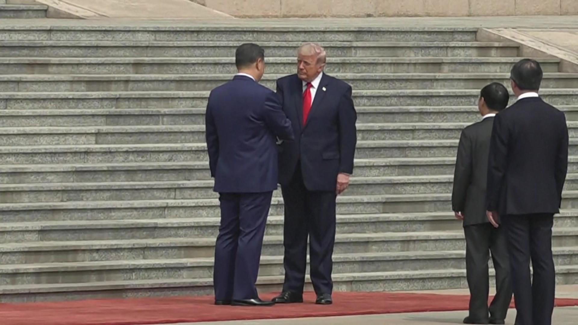 [현장연결] 트럼프, 인민대회당 도착...시진핑, 레드카펫서 영접