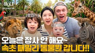 [연중기획 하모니] 아이스크림처럼 달콤한~ 트로이 씨의 속초 라이프 3부