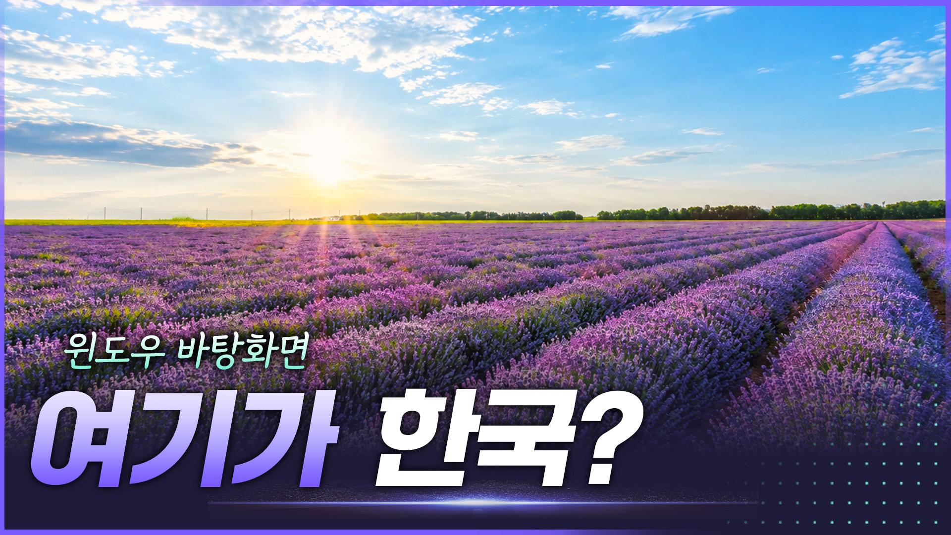 시골 축제의 경제학