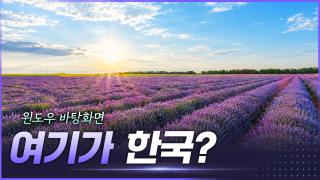 시골 축제의 경제학 [리부팅 지방시대]
