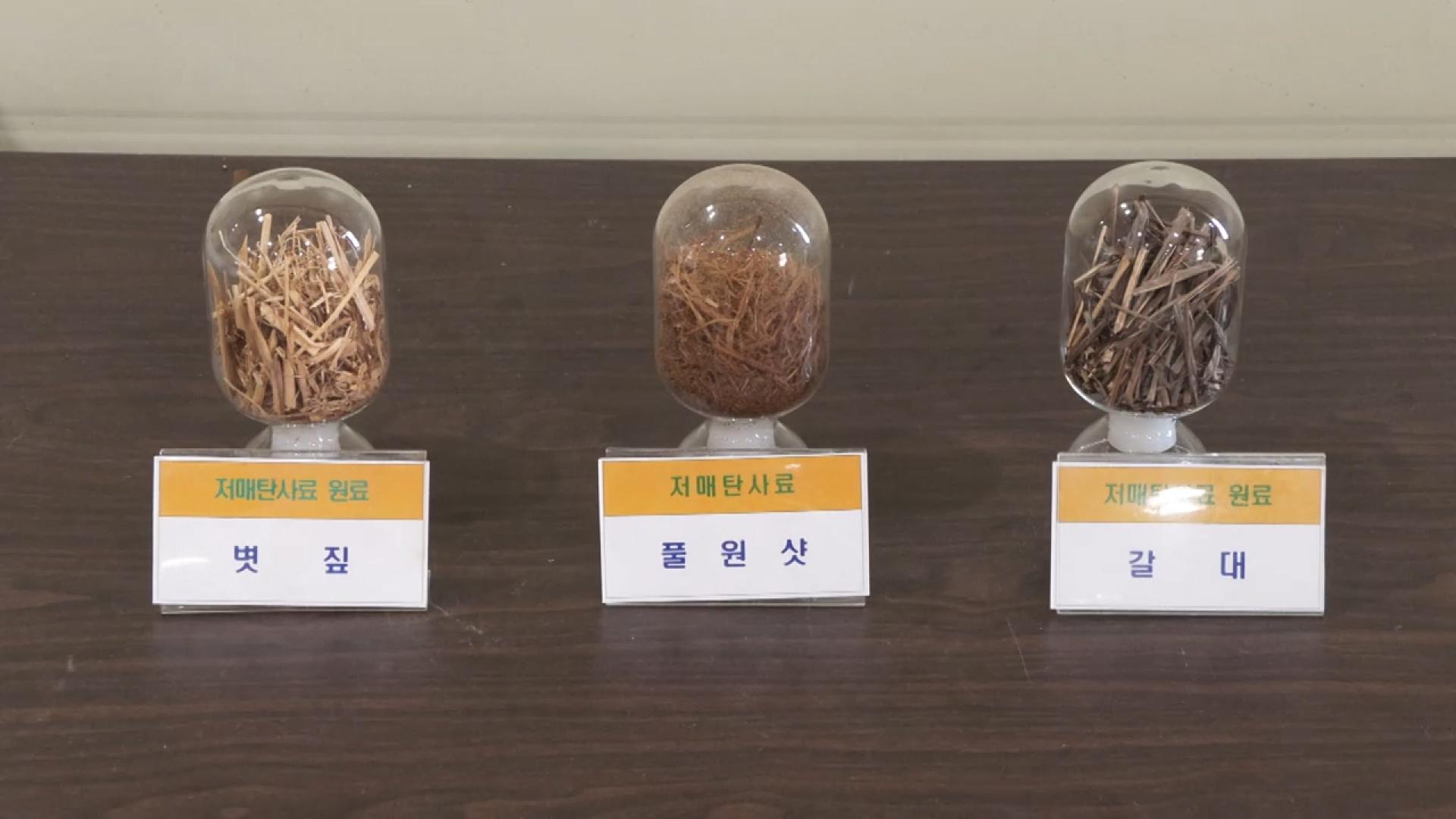"골칫거리 갈대"...영양 풍부 사료로 재탄생 - 뉴스 썸네일 이미지
