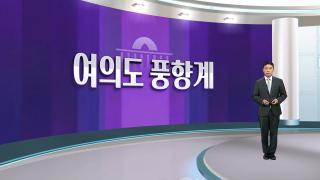 [여의도풍향계] 여의도와 서초동 '악연'…영욕의 역사 종지부?