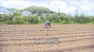 [뉴스현장] 8월5일 다시보기