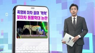 [DM왔어요] “폭염 속 늙은 말이 땅만 봐”…꽃마차 동물학대 논란 外