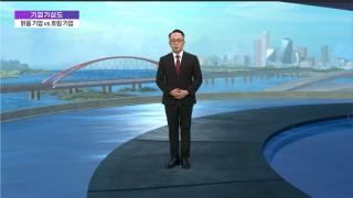 [기업기상도] 새롭게 해 뜬 기업 vs 기습폭우 휩쓸린 기업