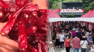 "지난해보다 싸게 팔아요"…괴산 고추 축제 '성황'
