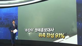[앵커리포트] '부캉이' 명예홍보대사 위촉 찬성 91%