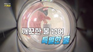 [연합뉴스TV 스페셜] 444회 : 깨끗한 물 넘어 특별한 물