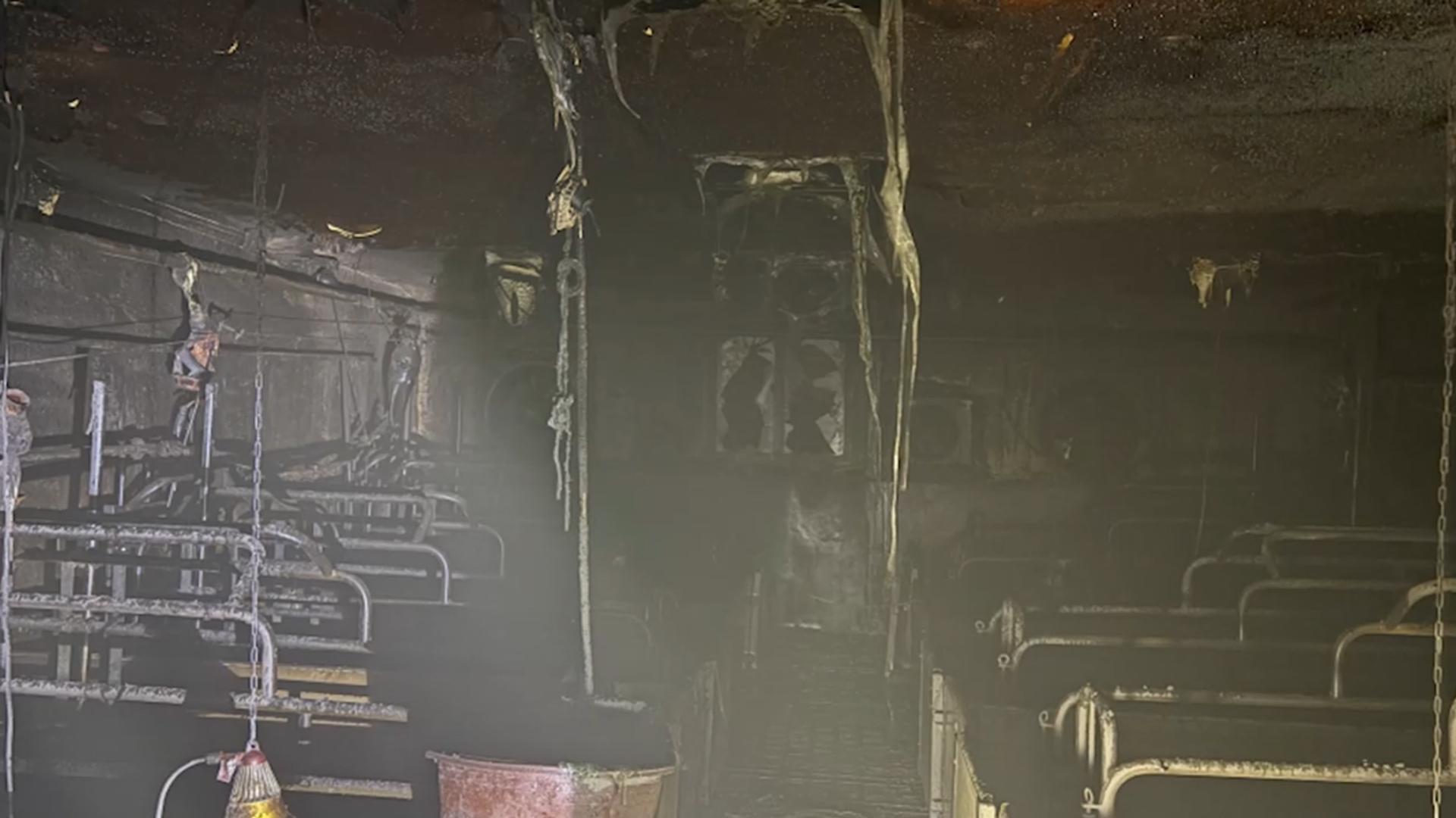 무안 돼지농장 화재…돼지 128~120마리 폐사