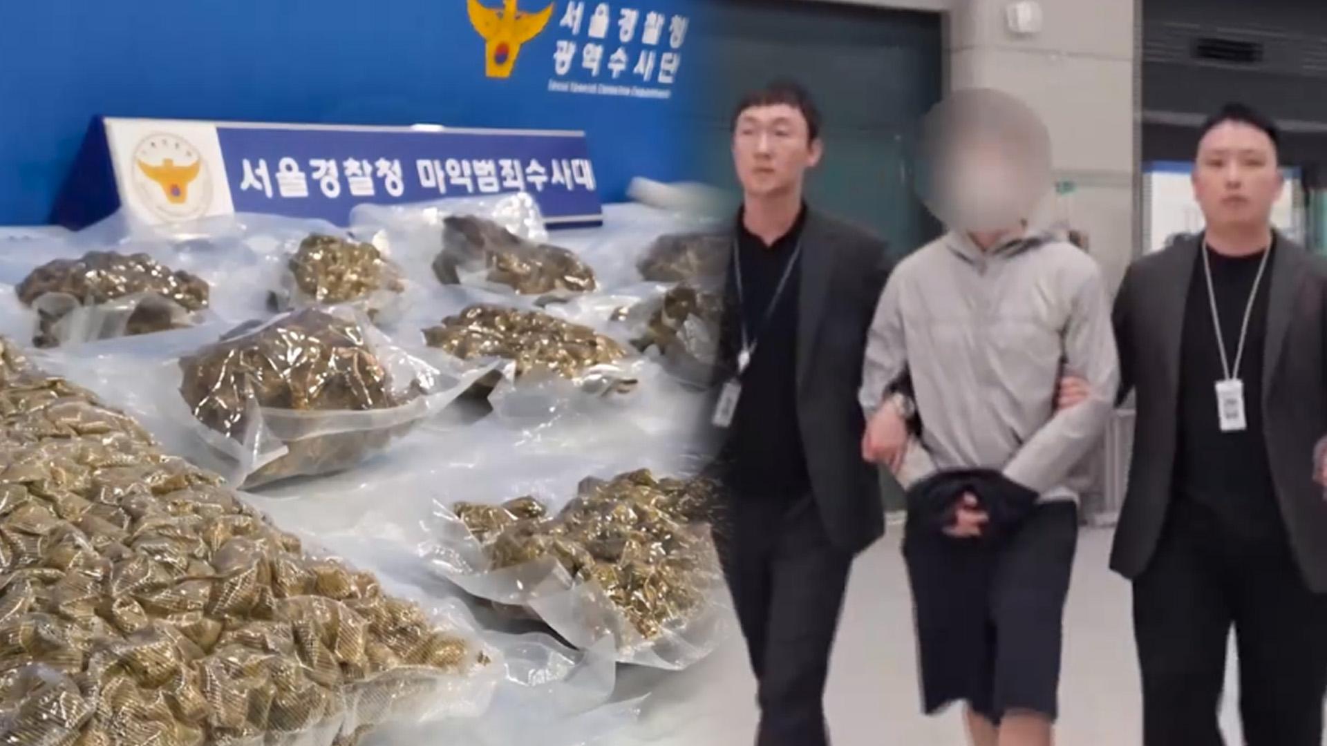 10월 22일 정오 뉴스 브리핑: 수사·안전·정보보호 현안 | 대마 유통, 존속살해 수사, 국무회의 공소지휘